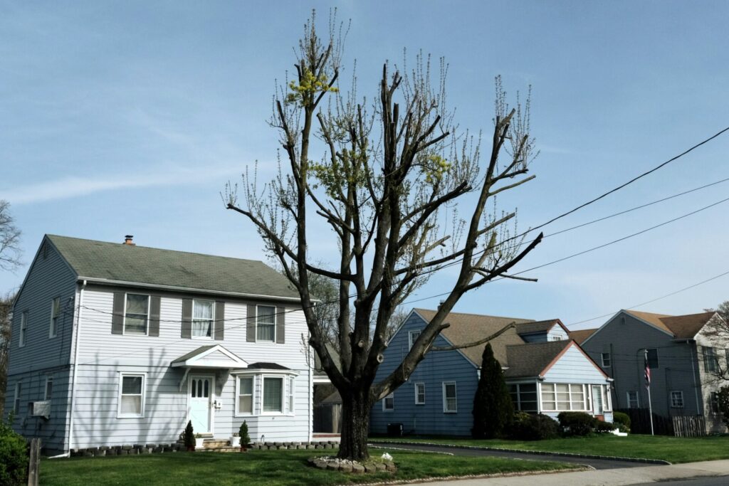 DIY Roof Repair: What New Jersey Residents Need